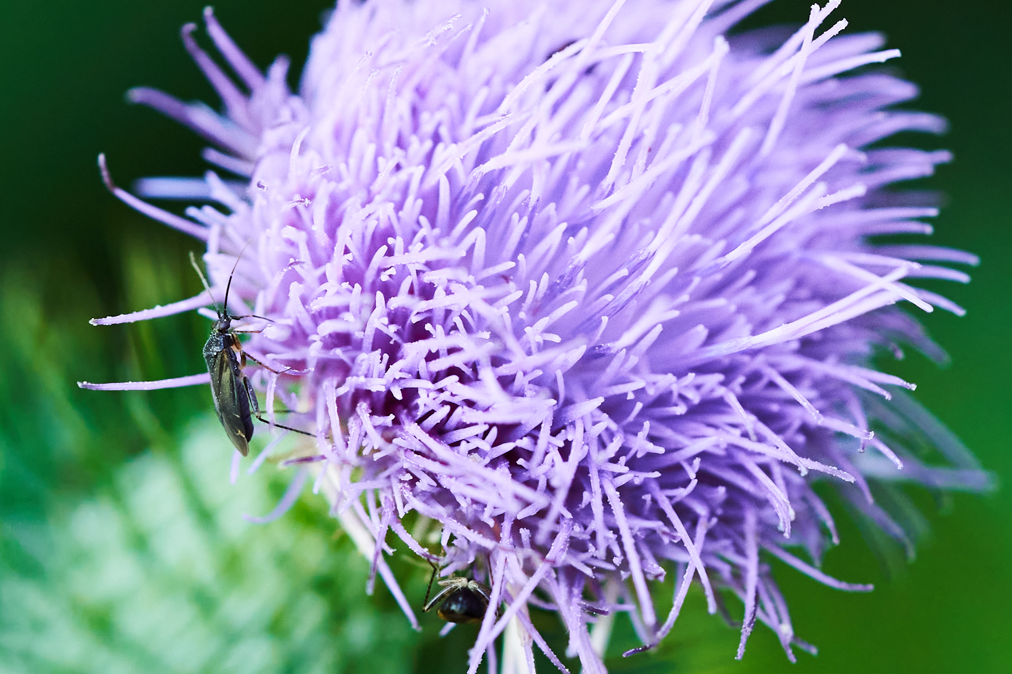 Landschaftspark Nord 0036